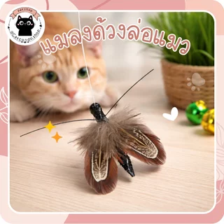 แมลงด้วงล่อแมว ของเล่นแมวแมลงสาบขนนก 5 ซม. ตุ๊กตาแมวขนาดเล็ก น้ำหนักเบา