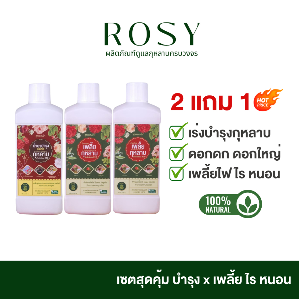 ROSY สูตรผสมน้ำ (บำรุงกุหลาบ 1 ขวด + กำจัดเพลี้ย 2 ขวด) เพลี้ยหายกุหลาบสวย