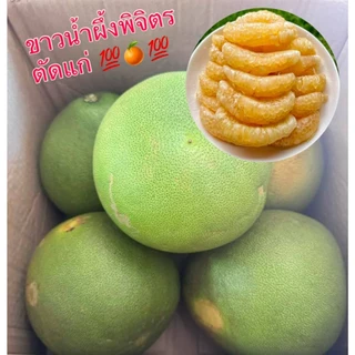 [ กล่องละ 6 ลูก ] ส้มโอขาวน้ำผึ้งพิจิตร ส้มโอสด น้ำหนัก 0.8 -1.0 กิโล เนื้อหวาน ไม่ขม อร่อย พร้อมส่ง