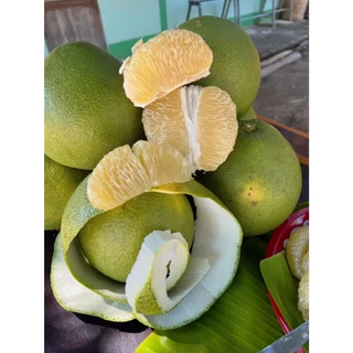 [ กล่องละ 6 ลูก ] ส้มโอขาวน้ำผึ้งพิจิตร ส้มโอสด น้ำหนัก 0.8 -1.0 กิโล เนื้อหวาน ไม่ขม อร่อย พร้อมส่ง