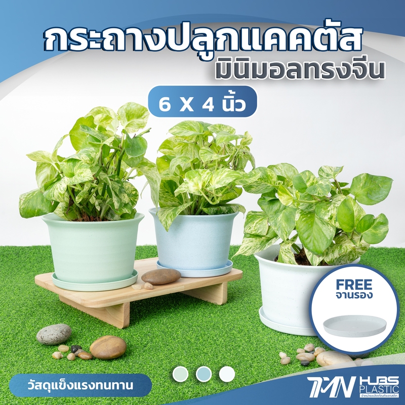 กระถางปลูกแคตตัสมินิมอลทรงจีนสีหินอ่อน ขนาด 6" x 4" ราคาถูก กระถางพลาสติก TMNHUBS14