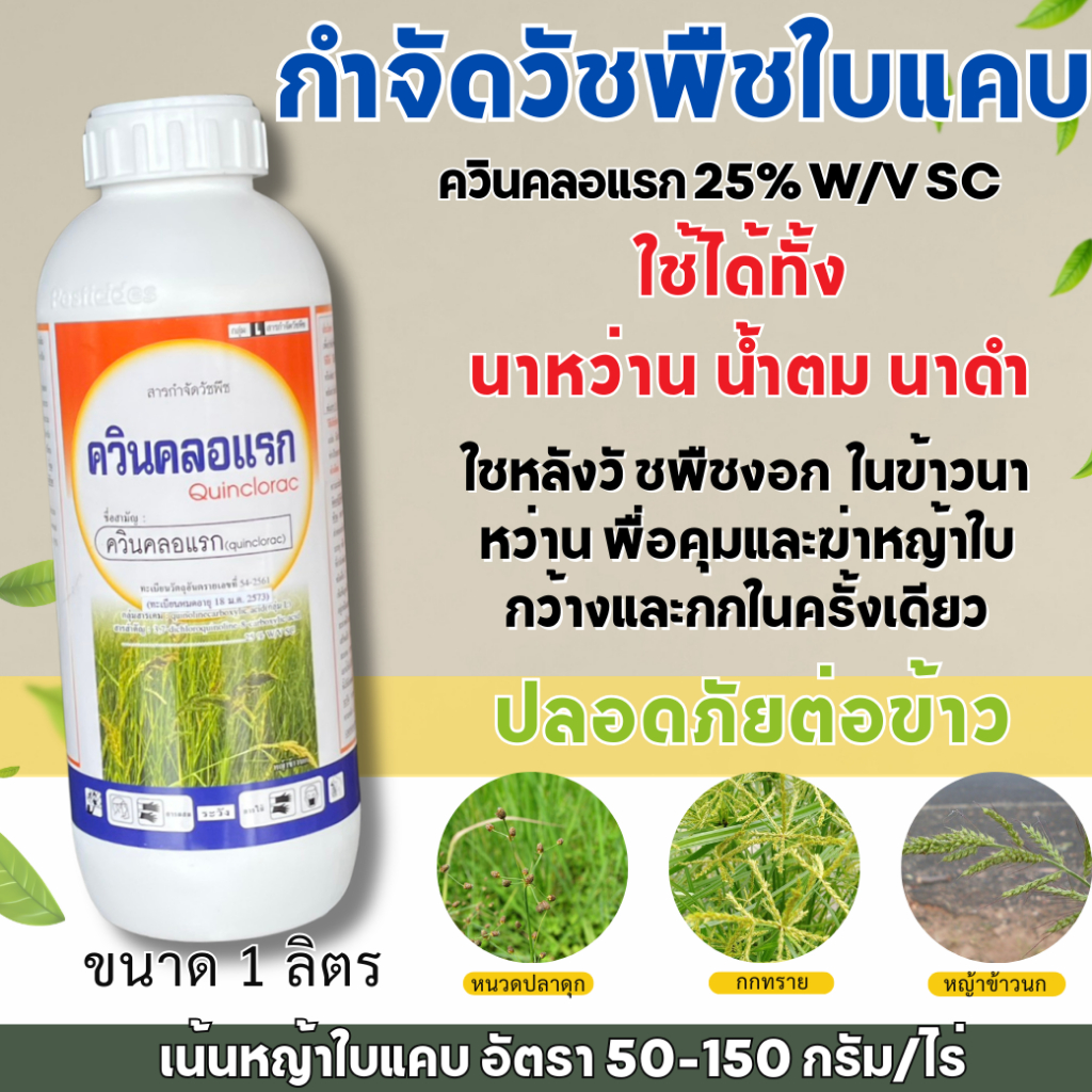 ควินคลอแรก ซิ๊กตี้ซิก ขจัดวัชพืชใบแคบ หญ้าข้าวนก หญ้าลิเก ควินคลอแรก ขนาด 1 ลิตร