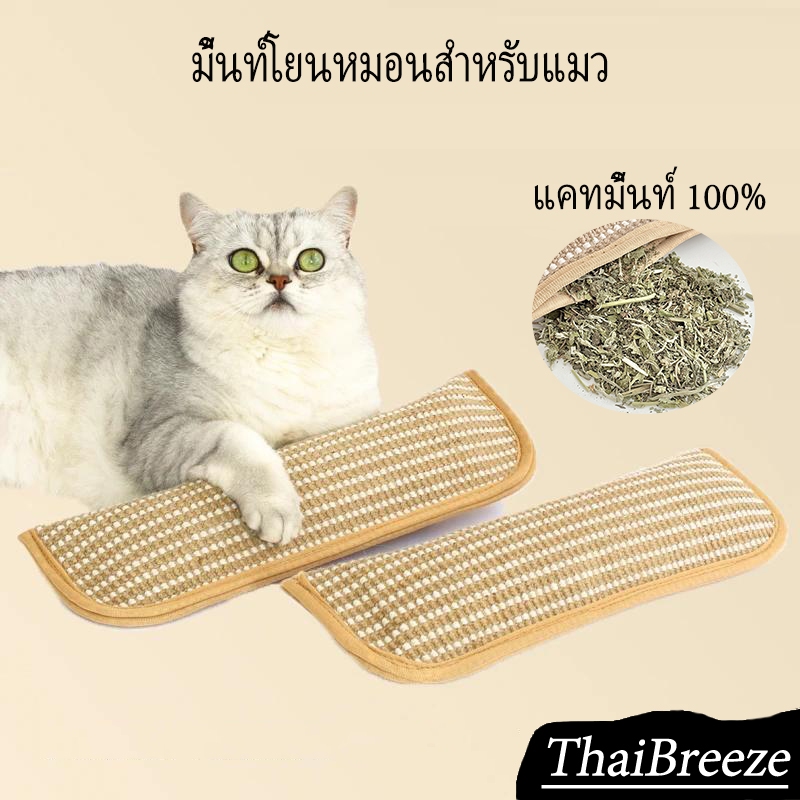 😸🎇กัญชาแมวแท้ 100% หมอนที่มีแคทนิปในตัว Catnip ที่ลับเล็บแมว ทนต่อการสึกหรอ ดึงดูดแมวได้ยาวนาน ของเล่นสัตว์เลี้ยง