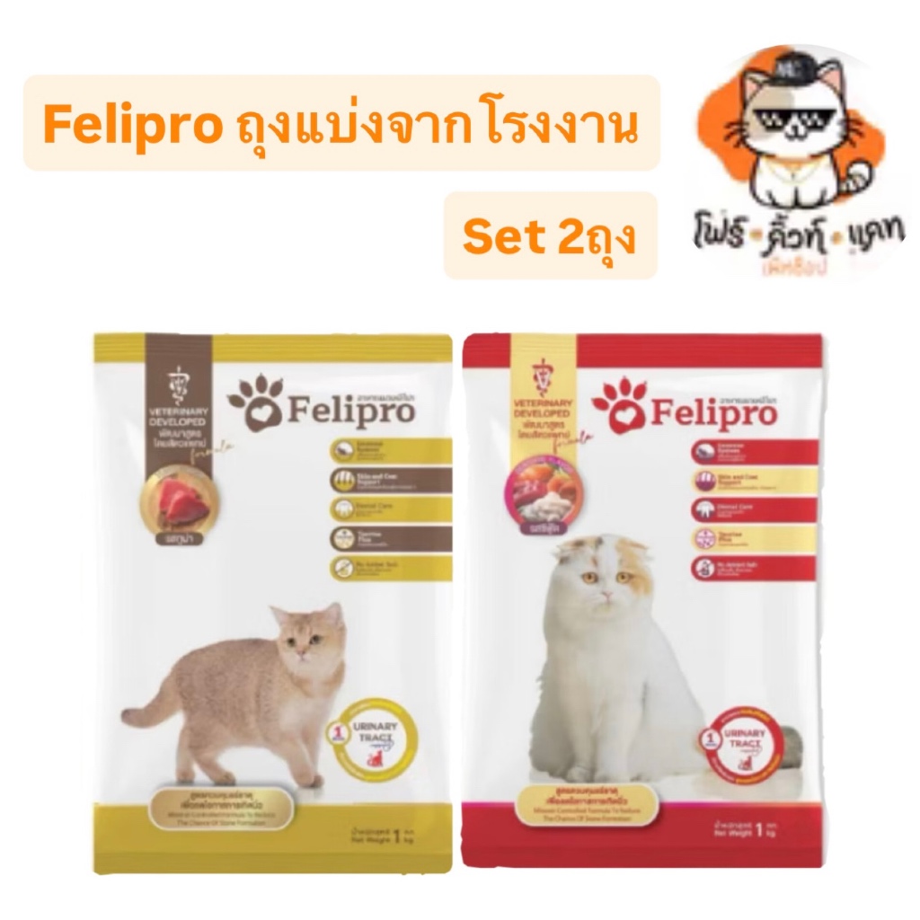 ( 2 ถุง ) อาหารแมว felipro ขนาด 1 kg x2ถุง