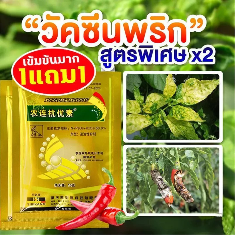 วัคซีนพืช ป้องกันโรคพริกเหี่ยว โรคราสีขาว โรครา โรคเน่า โรคใบจับจีบ โรคใบเหลือง โรคพริก และโรคเชื้อรา วัคซีนพืชสามารถป้อ