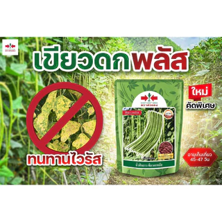 ถั่วฝักยาว เขียวดกพลัส 500 กรัม ศรแดง