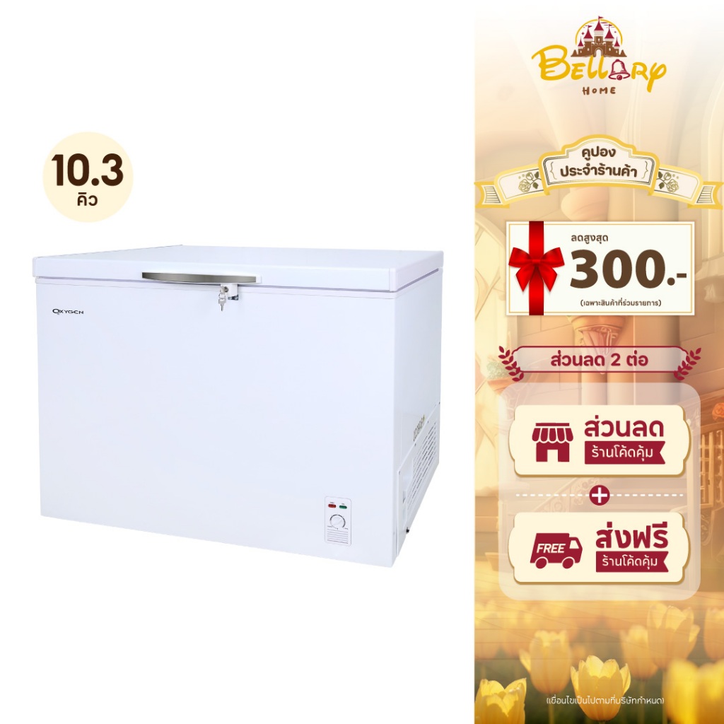 Oxygen ตู้แช่แข็ง รุ่น BD-300 ความจุ 300 ลิตร ขนาด 10.3 คิว ตู้แช่แข็ง ตู้แช่นมแม่