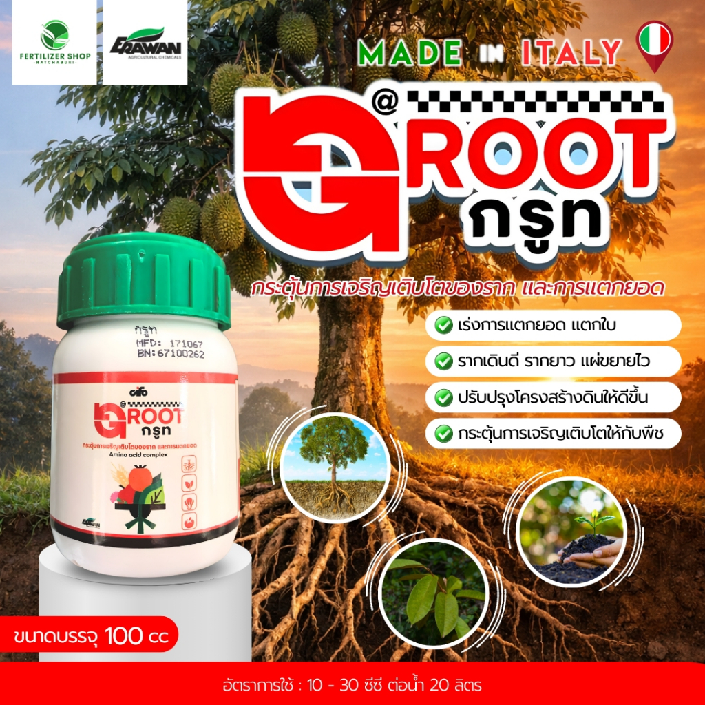 กรูท Groot (ขนาด 100cc)เร่งการแตกยอด แตกใบ เร่งใบอ่อนให้แก่เร็ว  เอราวัณ
