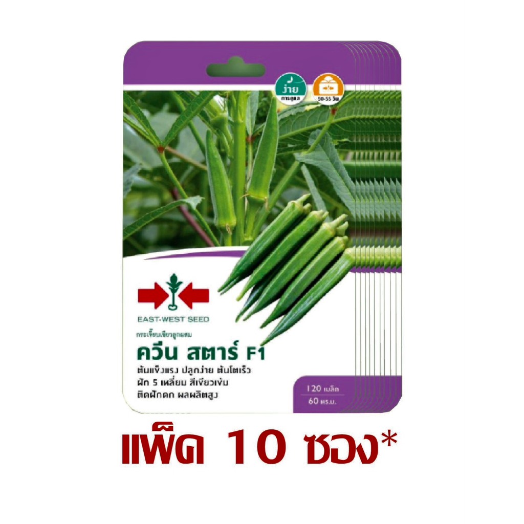 กระเจี๊ยบเขียวลูกผสม ควีน สตาร์ F1 120 เมล็ด ศรแดง (ยกแพ็ค 10 ซอง)
