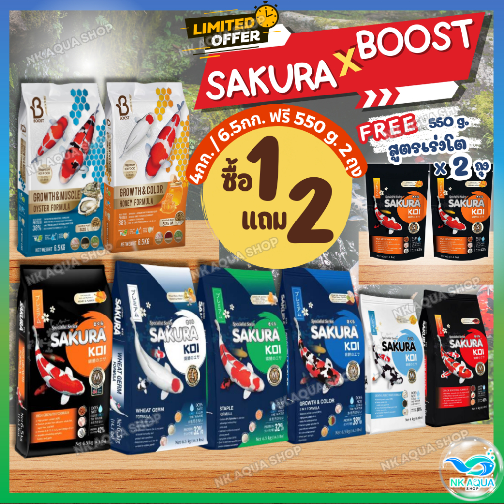 ทุกสูตร💥ฟรี❗วีทเจิร์ม1.25กก.📌อาหารปลาคาร์ฟซากุระ โค่ย (Sakura Koi) ขนาด 4 กก. และ 6.5 กก.