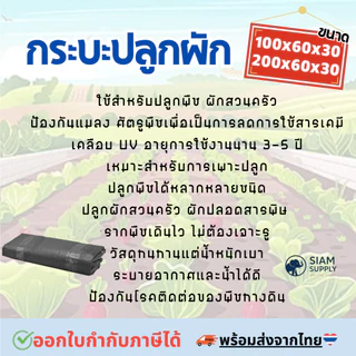 กระบะปลูกผัก พร้อมโครง PVC ขนาด 60x200x30cm กะบะเพาะปลูก​ ถุงปลูก​ต้นไม้ แปลงผัก กระบะปลูกผัก แปลงปลูกผัก