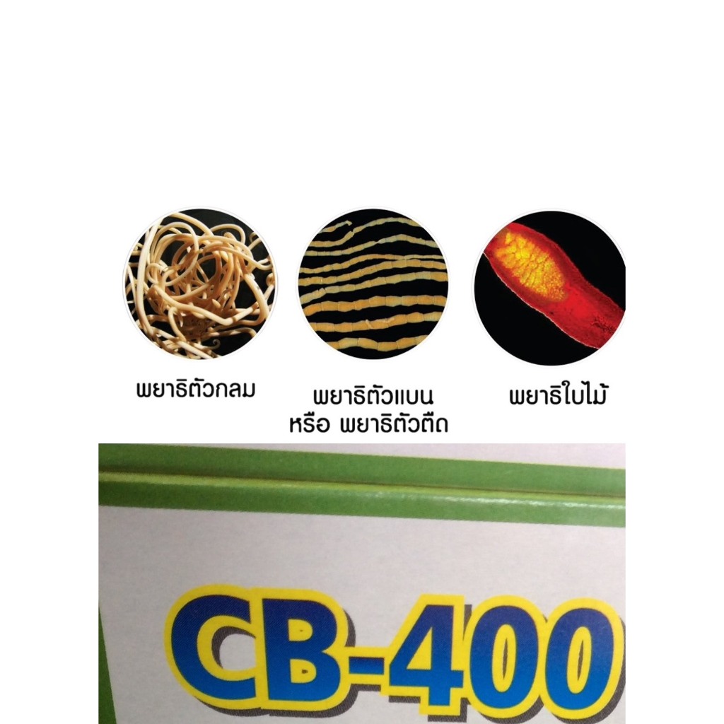 ( คลิกเพื่อสั่งซื้อ ) อาหารเสริม CB 400 (1 SET 3 เม็ด)