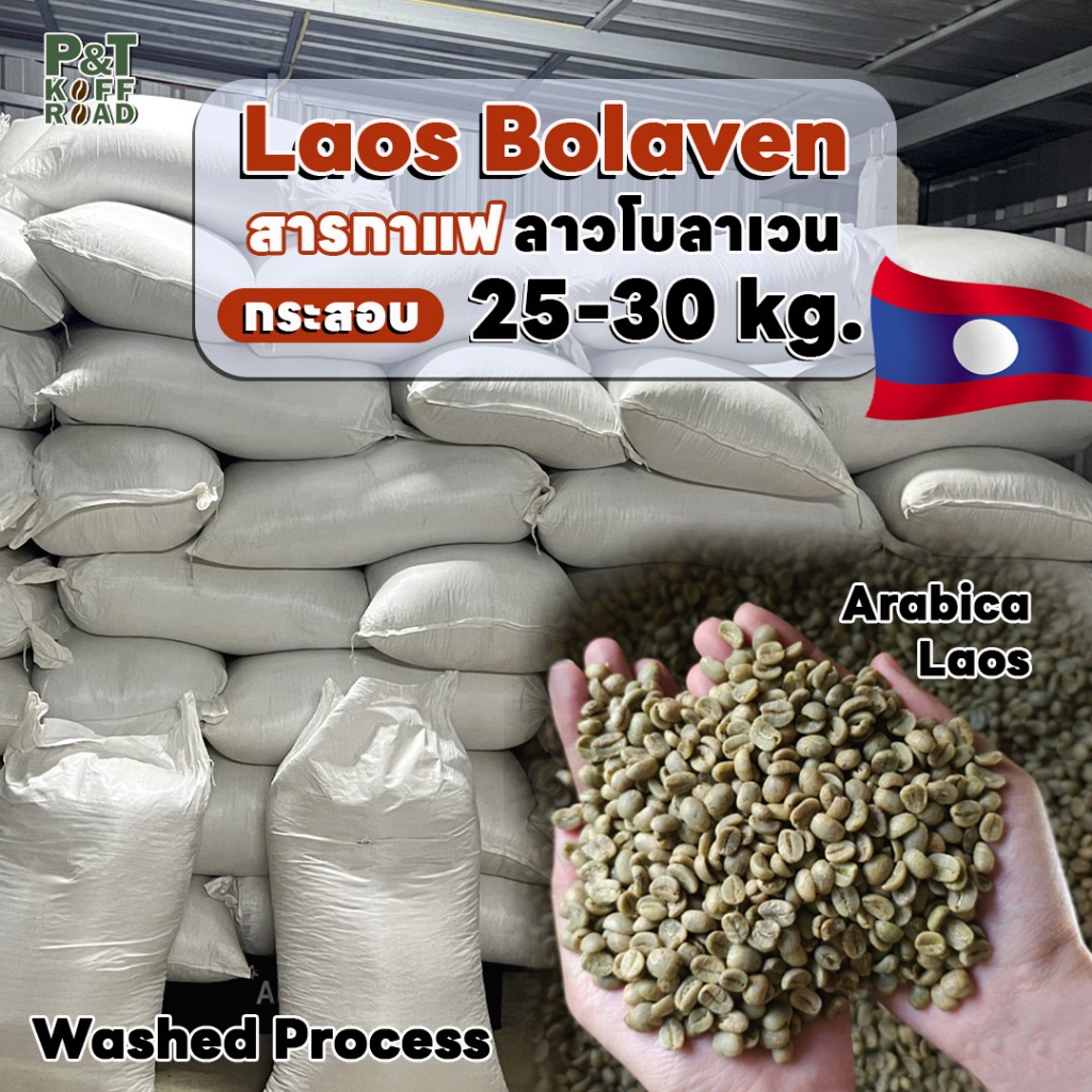สารกาแฟอราบิก้าลาว โบลาเวน Laos Bolaven SC16 บรรจุ 25 kg -30 kg. P&T KoffRoad.