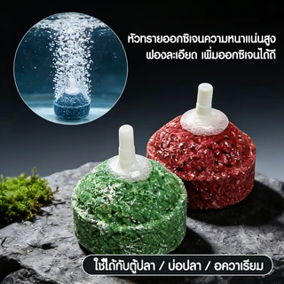 หัวทราย หัวทรายออกซิเจน หัวทรายชนิดหยาบ/ละเอียด เพิ่มออกซิเจนในตู้ปลา แบบคละสี มี5ขนาด (ราคาต่อ1ลูก)