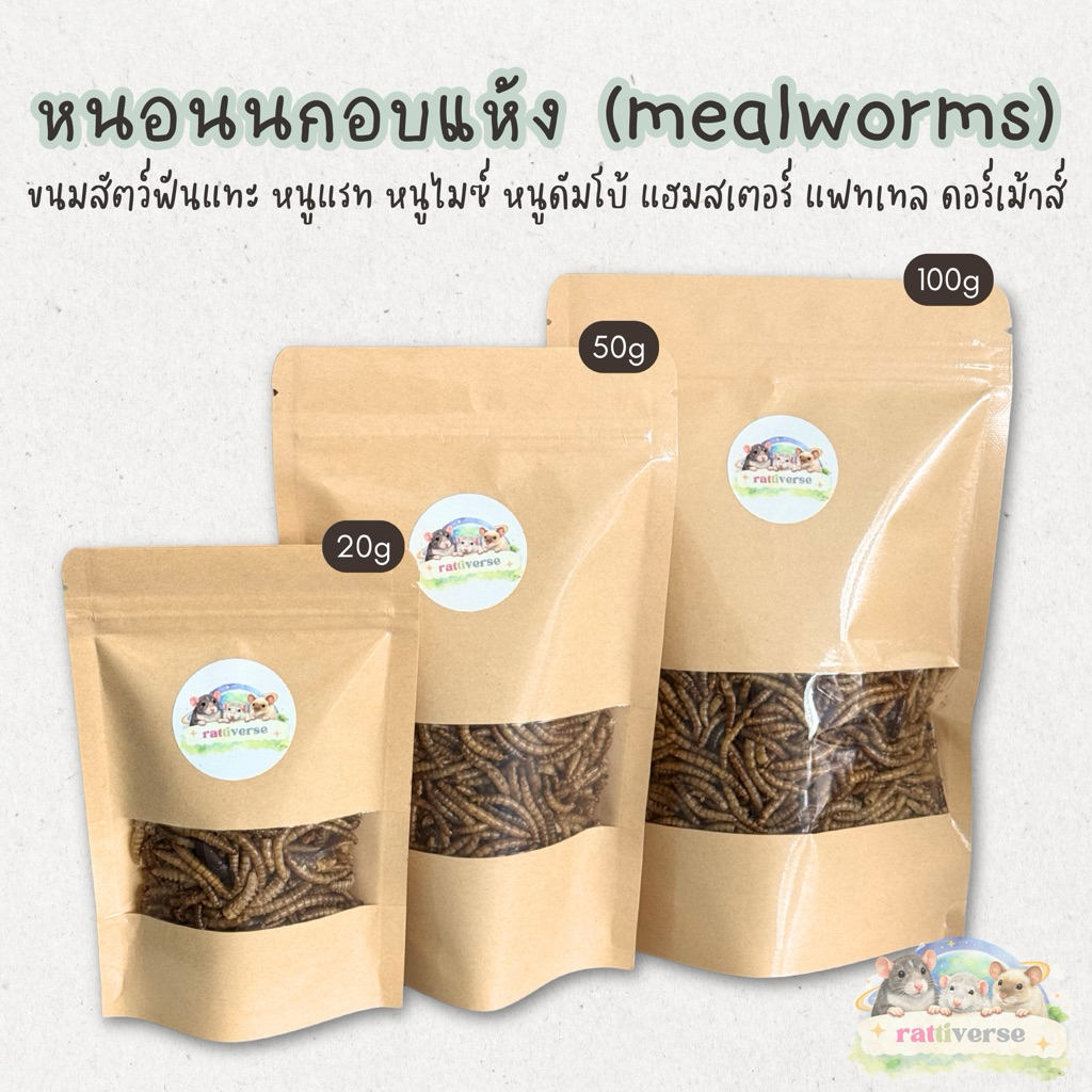 หนอนนก อบแห้ง สำหรับสัตว์ฟันแทะ หนูแรท ดัมโบ้ แฮมสเตอร์ แฟทเทล ดอร์เม้าส์ ขนาด 20g, 100g, 120g (ขั้นต่ำ 100 บาท)