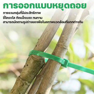 สายรัดเคเบิ้ลไทร์ หนวดกุ้ง 100 เส้น ขนาด สีเขียว วัสดุไนล่อนทนทาน รั้วต้นไม้ปลอม ไม้ค้ำต้นไม้สามารถใช้ได้