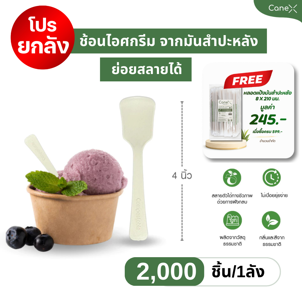 (ยกลัง) ช้อนพาย/ช้อนไอติม รักษ์โลก ย่อยสลายได้100%  (จำนวน 20 แพ็ก) 2,000 ชิ้น ขนาด 4 นิ้ว ปลอดภัย จับถนัดมือ ช้อนไบโอ