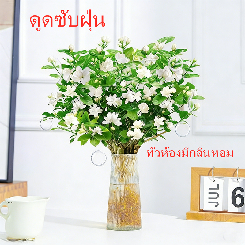 ต้นมะลิขาวแท้ กลิ่นหอม ไล่ยุง ปลูกง่าย ในร่มกลางแจ้งได้ ราคา ถูกที่สุด ดีลบีเคเค แกลเลอรีภาพที่ 8