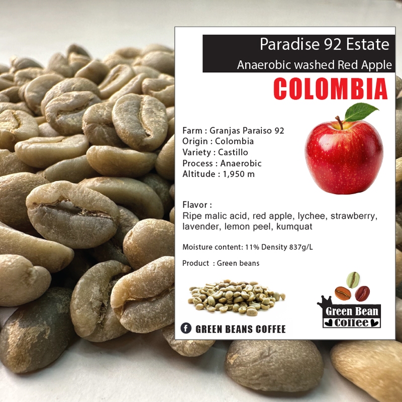 สารเมล็ดกาแฟดิบ COLOMBIA PARADISE 92 {RED APPLE} " Anaerobic Washed Process " Green bean ขนาด 1,000 กรัม