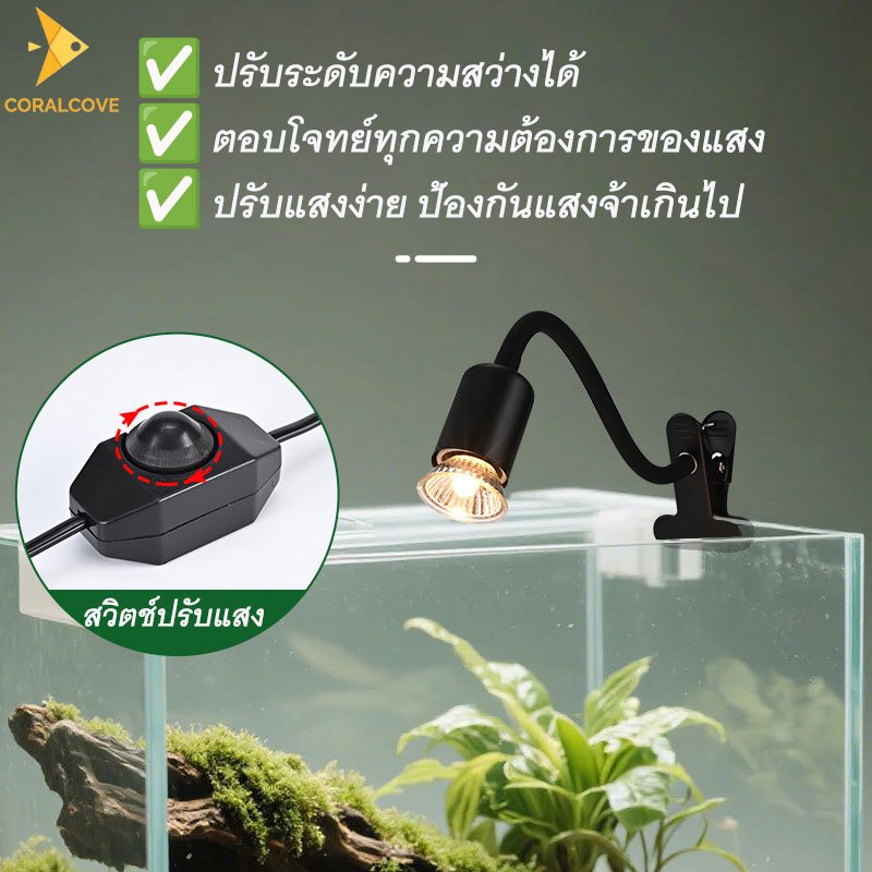 coralcoveshop พร้อมส่ง ขาตั้งโคมไฟอาบแดดเต่า สัตว์เลื้อยคลาน พร้อมสวิตช์ปรับแสง สายไฟยาว 1.4 เมตร