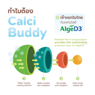 Little Monster Happy Set | Little Lacto Probiotic + Calci Buddy | เสริมภูมิคุ้มกันและแคลเซียม