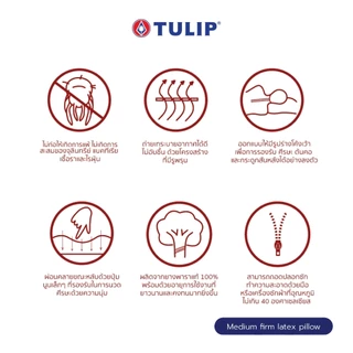 TULIP หมอนหนุนสุขภาพ รุ่น มีเดียมเฟิร์มลาเท็กซ์ พิลโล Medium Firm Latex Pillow