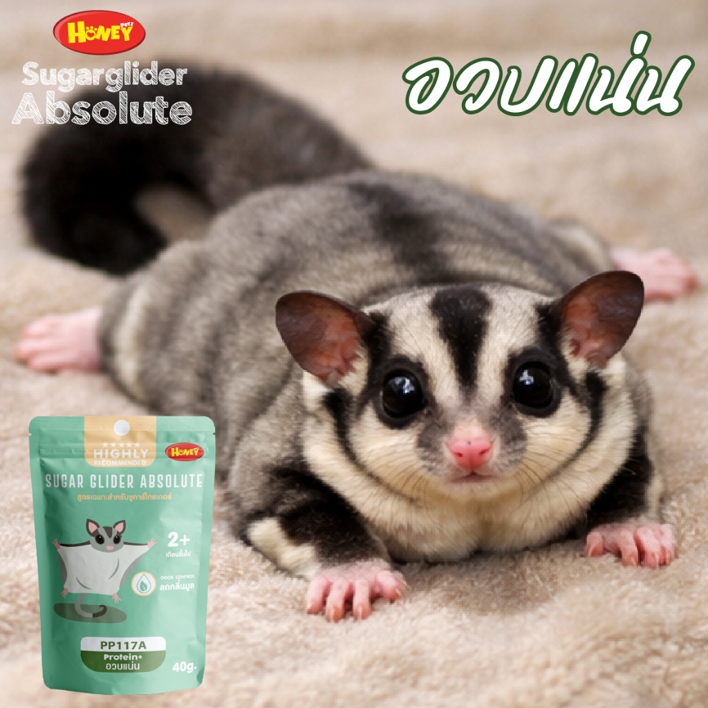 Honeypetz อาหารชูการ์ไกลเดอร์ โปรตีนสูง เม็ดเล็กพอดีคำ ครบโภชนาการ Sugar Glider Food