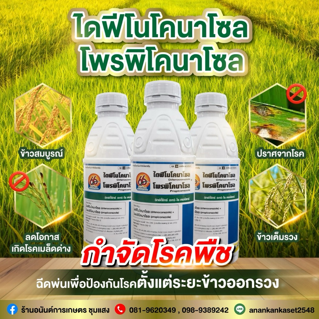 66 ไดฟีโนโคนาโซล โพรพิโคนาโซล ป้องกันโรคข้าวหลากหลายชนิด
