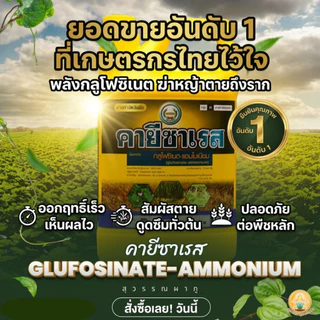 คายีซาเรส(ของแท้)ขนาด 4ลิตร(1แกลลอน)ใช้ได้ทั้งใบกว้างและใบแคบ กลูโฟซิเนต ใช้กำจัดวัชพืช