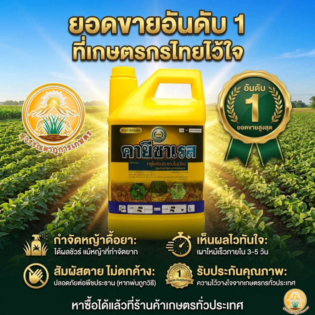 คายีซาเรส(ของแท้)ขนาด 4ลิตร(1แกลลอน)ใช้ได้ทั้งใบกว้างและใบแคบ กลูโฟซิเนต ใช้กำจัดวัชพืช