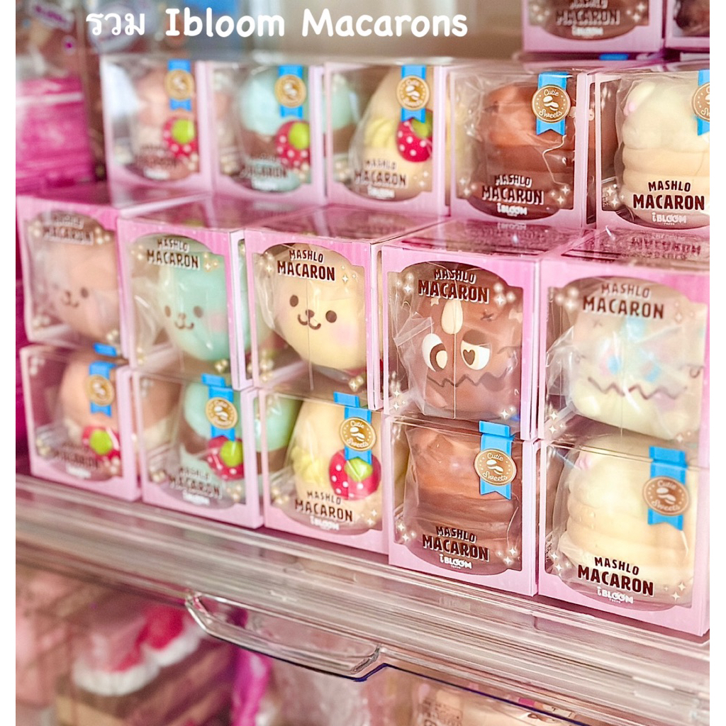 🌟รวมIbloom Macaronsน่ารักๆ🌟