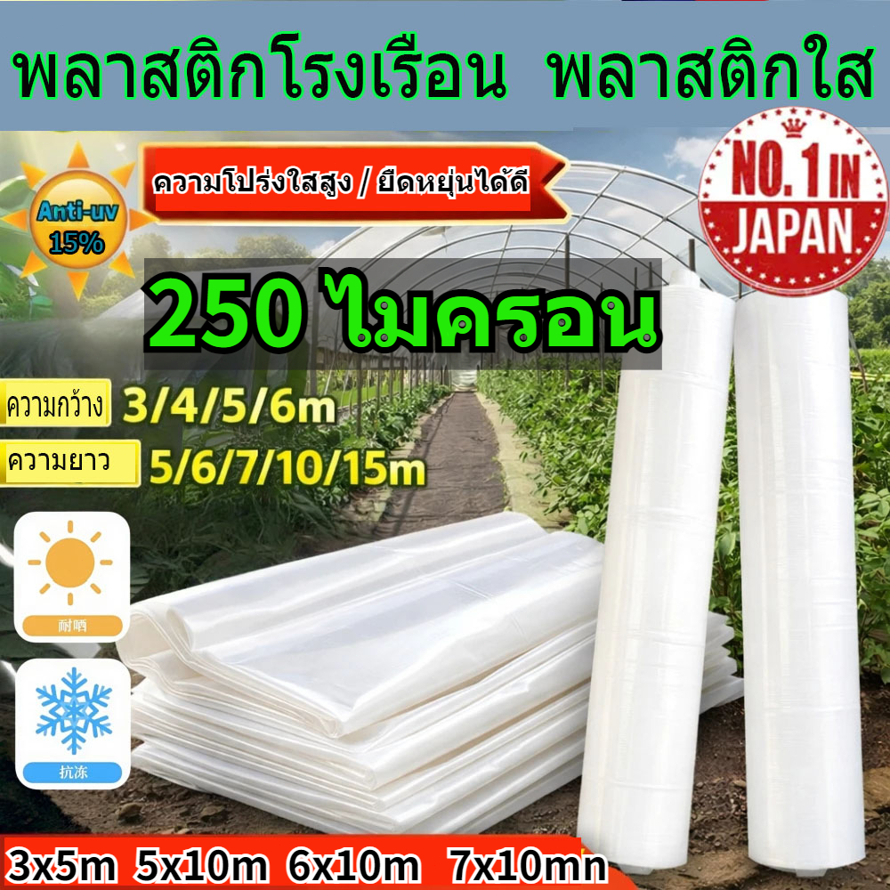 พลาสติกโรงเรือน พลาสติกใส พลาสติกคลุมโรงเรือน กันฝนgreenhouse หนา 180/200/250 ไมครอน UV15% โรงเรือนแคคตัส พลาสติกปูบ่อ