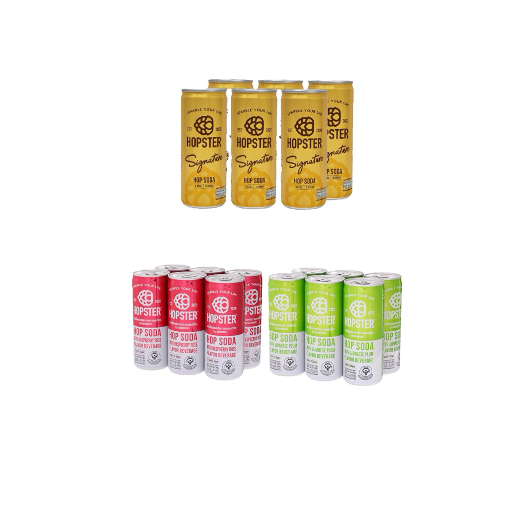 Hopster ฮอปสเตอร์250มล. แพค 6