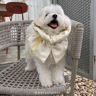 Comfy Cone ปลอกคอกันเลียทรงสูง น้ำหนักเบา กันน้ำ คอลล่ากันเล…