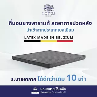 LOTUS ที่นอนยางพารา บรรเทาอาการปวดหลัง รุ่น Enhance ~ หนา 4 นิ้ว Latex made in Belgium