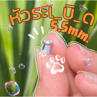 ทุ่นตะกั่วตกปลาแบบใหม่!!! 5.5mm.📌