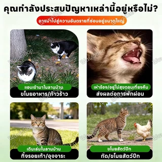 ❗เขตห้ามแมว-สุนัข❗ผงไล่แมว ไล่แมวจร ยาไล่แมว ไล่แมว 600g ไล่สัตว์ได้ต่อเนื่อง 24 ชั่วโมง ปลอดภัยสำหรับคนและสัตว์เลี้ยง