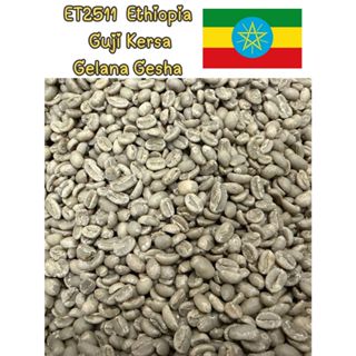 ET2511  Ethiopia  Guji Kersa Gelana Gesha