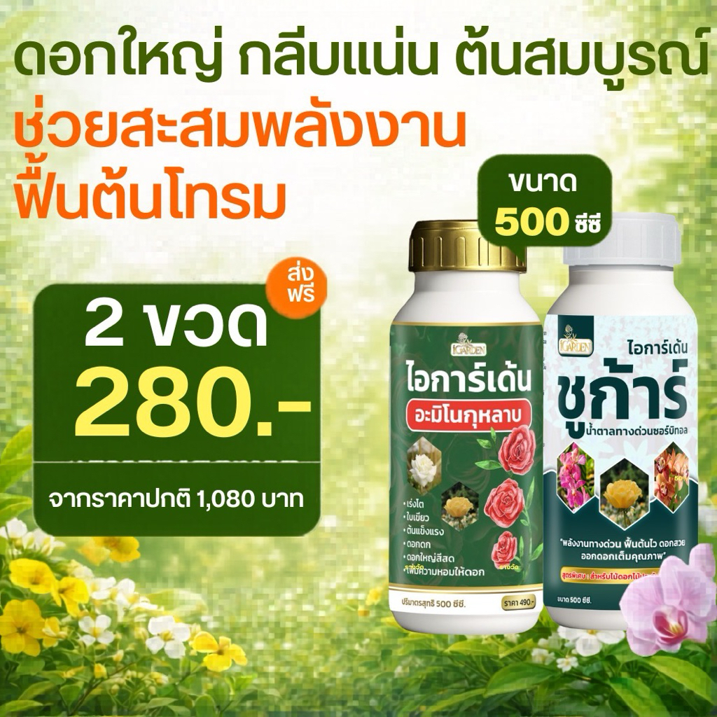 อะมิโนกุหลาบ+น้ำตาลทางด่วน เซ็ตดูโอพลังเร่งฟื้น บำรุงลึก  สำหรับไม้ดอกไม้ประดับ 1ชุด