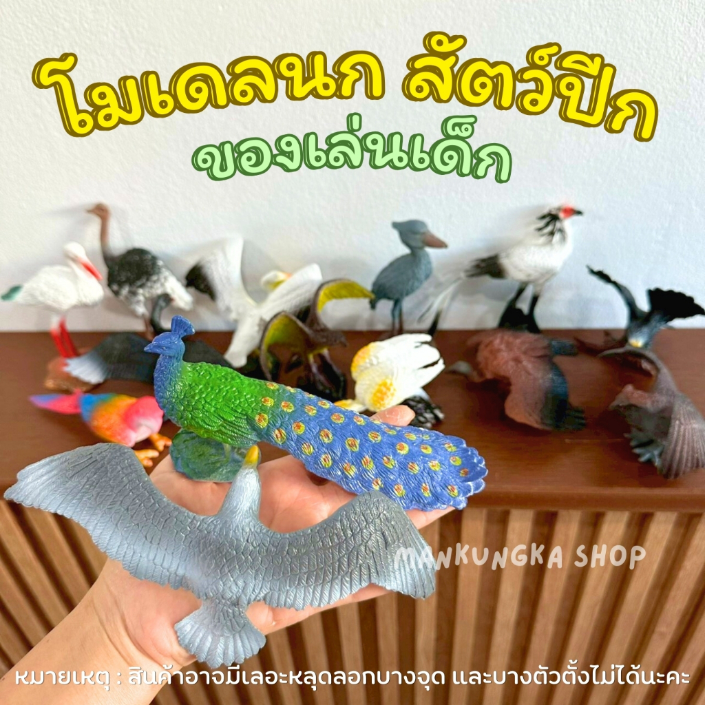 โมเดล สัตว์ปีก นก สัตว์ป่า สัตว์เลี้ยง นกแก้ว นกยูง เหยี่ยว หงส์ นกกระจอกเทศ นกฮูก แร้ง ของเล่นเด็ก ของสะสม