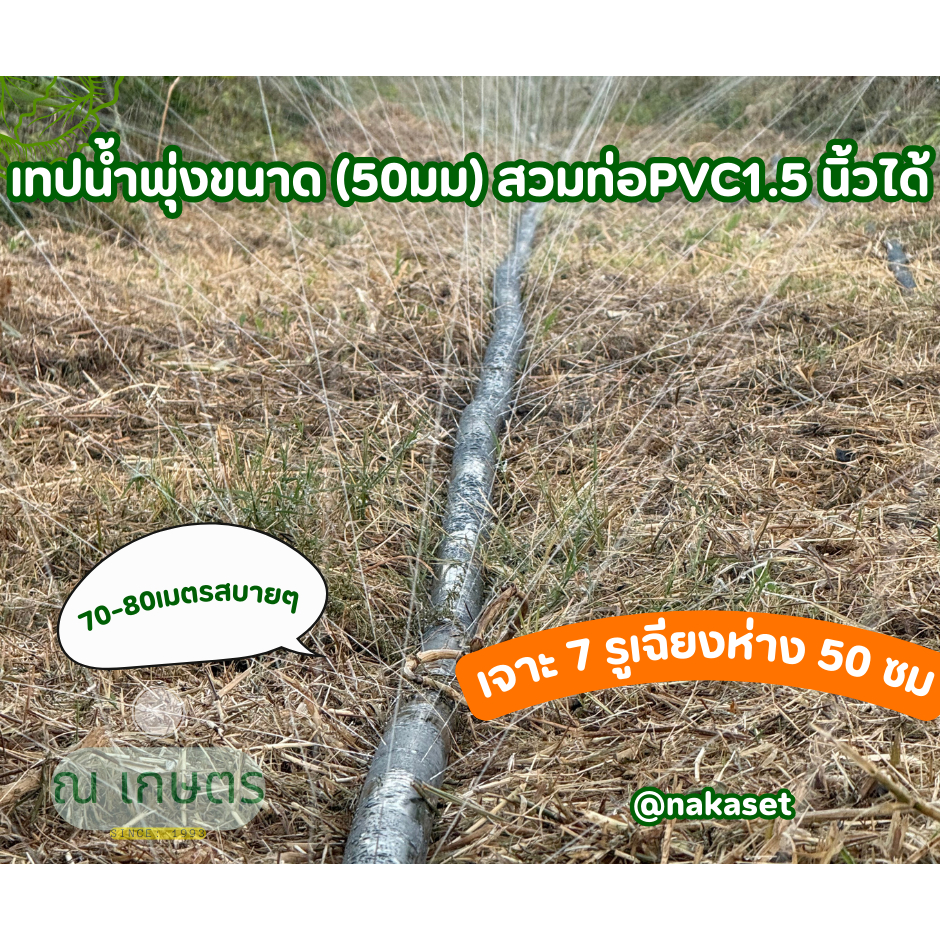 เทปน้ำพุ่งขนาด 1.5 นิ้ว (50 มม ) สวมกับ ท่อ PVC 1.5 นิ้วได้ เจาะ 7 รูเฉียง ห่าง 50 ซม. ยาว 200 เมตร Micro spray tape