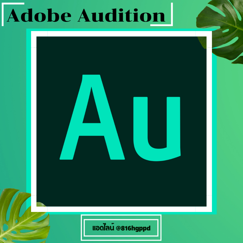 Adobe Adution 2026 ถาวร ปรับเเต่งเสียง