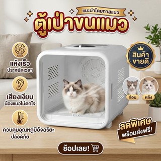 [COD] ตู้อบแมว ตู้เป่าขนแมว เป่าขนแมว ตู้เป่า ขนสัตว์เลี้ยง …