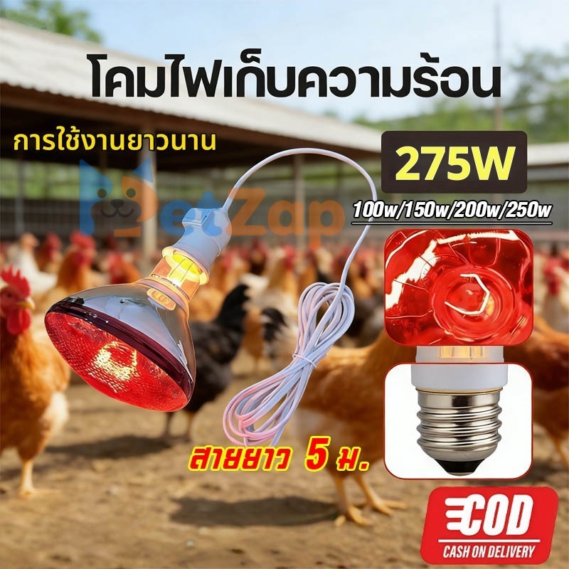 【PetZap】พร้อมส่ง ส่งจากไทย หลอดไฟอินฟาเรด หลอดไฟความร้อน ไฟกกหมู ไฟกกสัตว์ปีก เกรดพรีเมียม ขั้วE27 100W 275W กันระเบิด