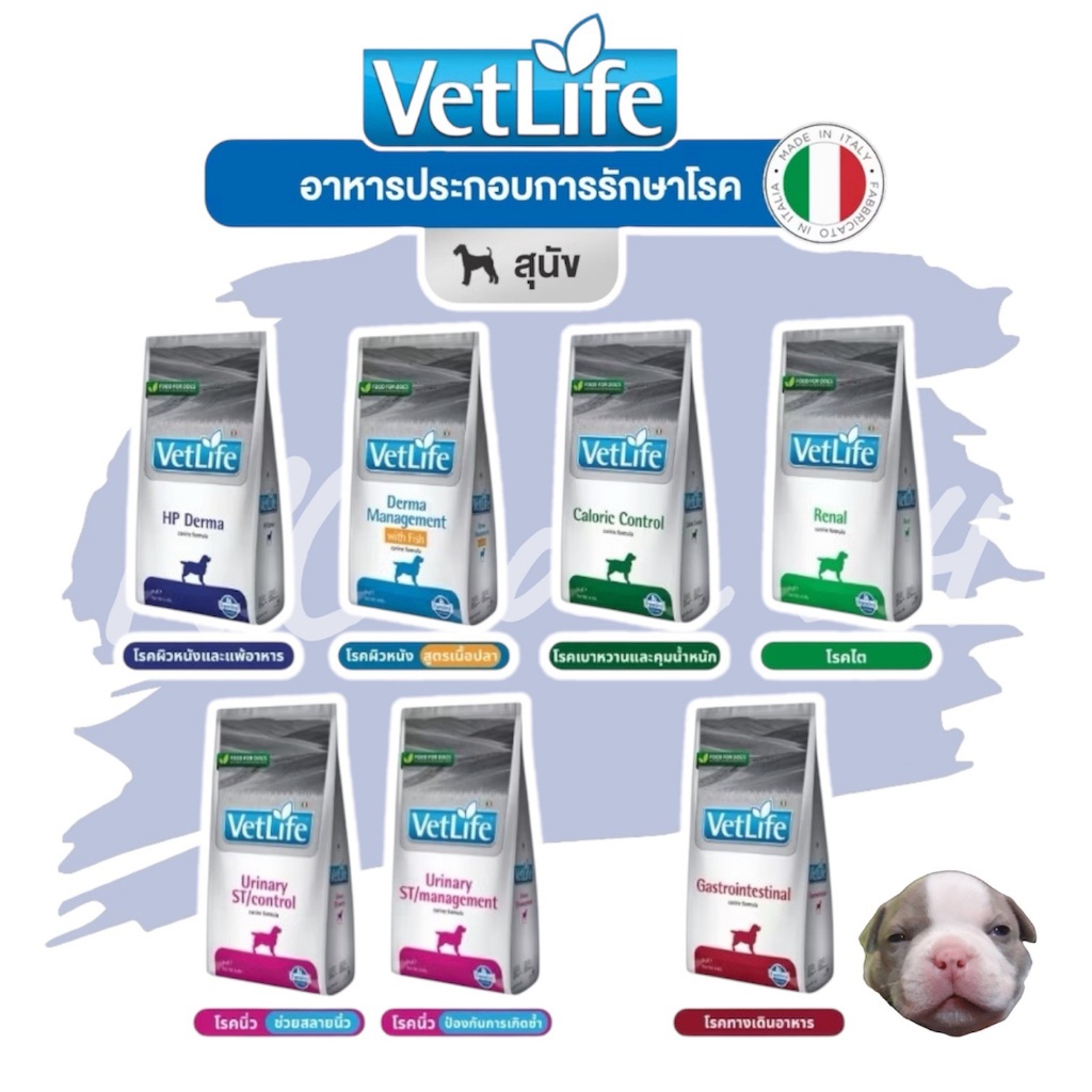 VetLife ขนาด 2 kg หมดอายุ 7/26 สำหรับสุนัข อาหารประกอบการรักษาโรค ทุกสูตร จากอิตาลี