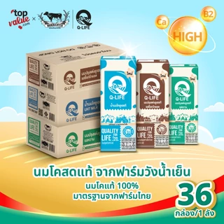 นม Q-Life นมโค นมยูเอชที 180 ml (36 กล่อง/ลัง) รสจืด รสช็อกโกแลต รสหวาน