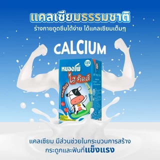 นมหนองโพ นมโคแท้100% นมยูเอชที ไฮ-คิดส์ รสช็อคโกแลต 125ml (48 กล่อง/ลัง)