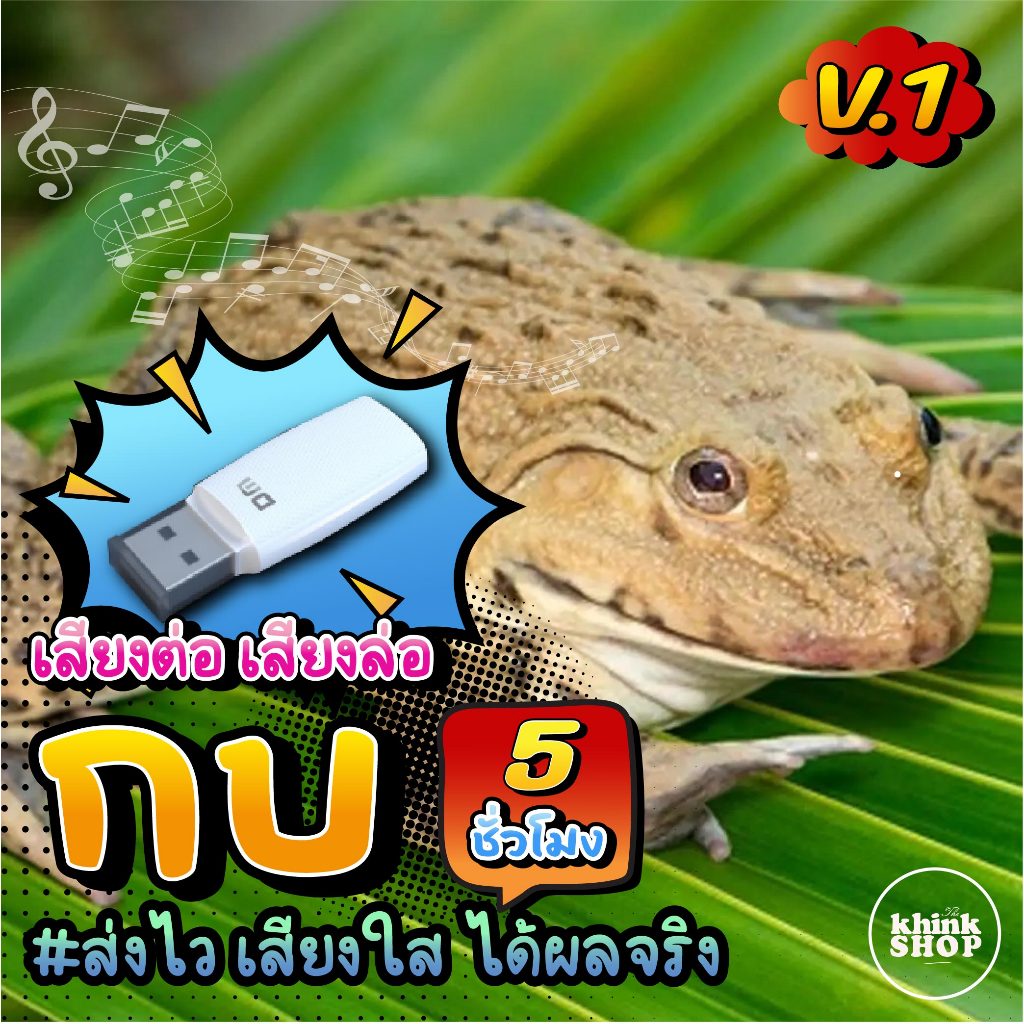 เสียงต่อกบ V.1 แฟลชไดรฟ์ เมม ไม่มีโฆษณาแทรก มีเก็บเงินปลายทาง