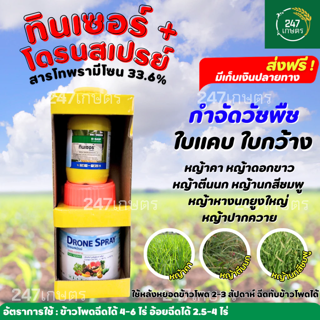 ทินเซอร์ 50ซีซี+โดรนสเปรย์ 100ซีซี และ 250ซีซี+โดรนสเปรย์ 500 ซีซี กำจัดหญ้าใบแคบ ใบกว้าง