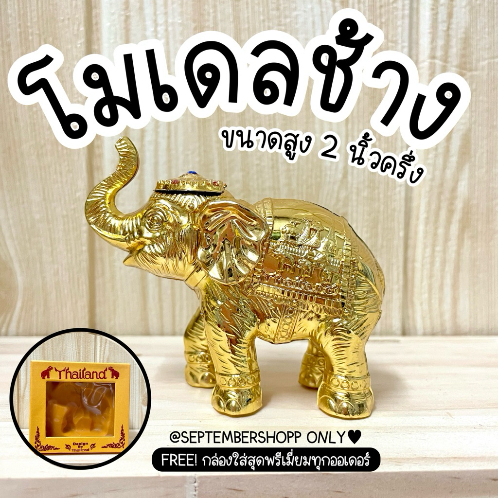 ช้าง M | สูง 2 นิ้วครึ่ง ของฝาก ช้าง หุ่นช้าง ตุ๊กตาช้าง ของที่ระลึก ช้างแก้บน โมเดล Thai souvenir